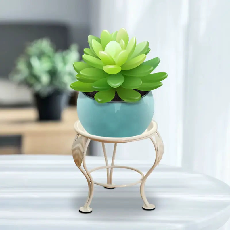 Repose Plante Interieur
