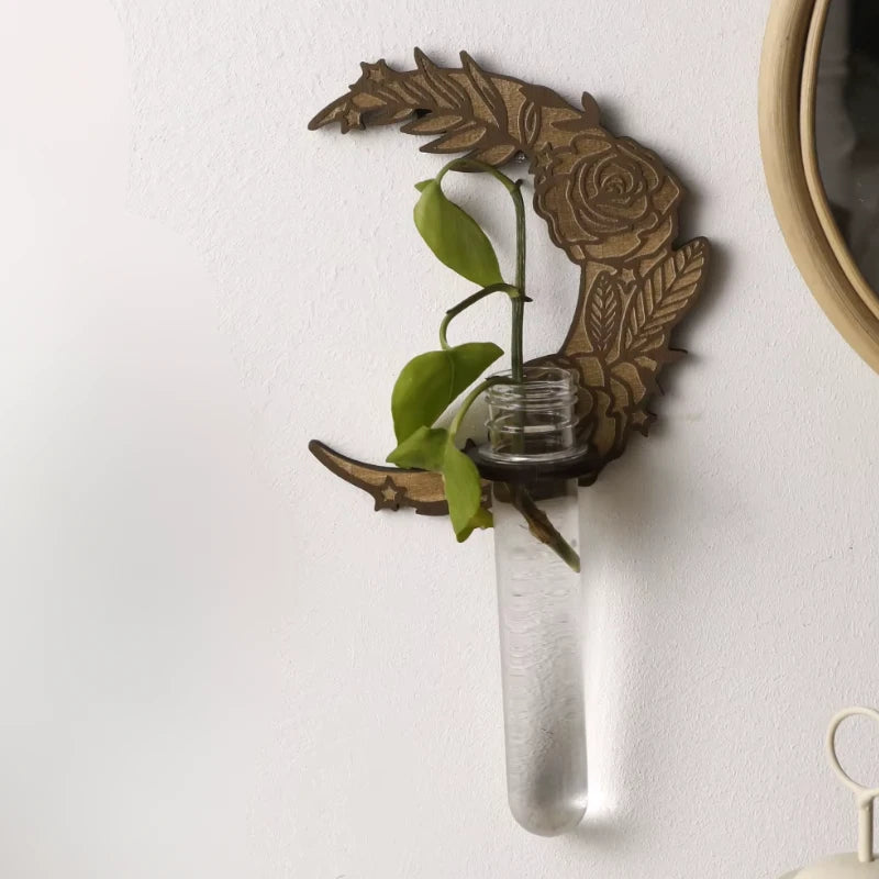 Repose Plantes Design