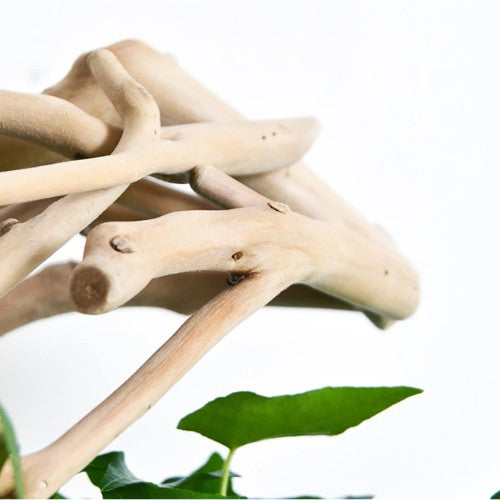 Porte Plante en Bois Flotté