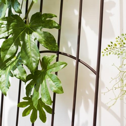 Support pour Plante Grimpante Exterieur