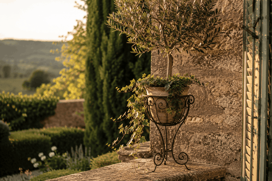 Porte-plante extérieur : bien choisir pour son jardin ou sa terrasse