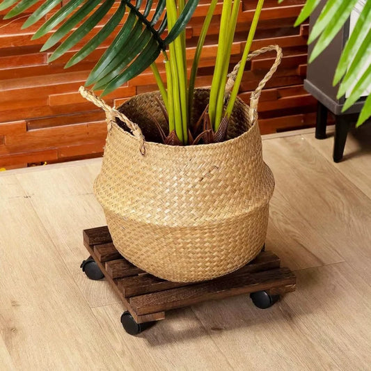 Plateau à Roulette pour Plante - Univers Plante