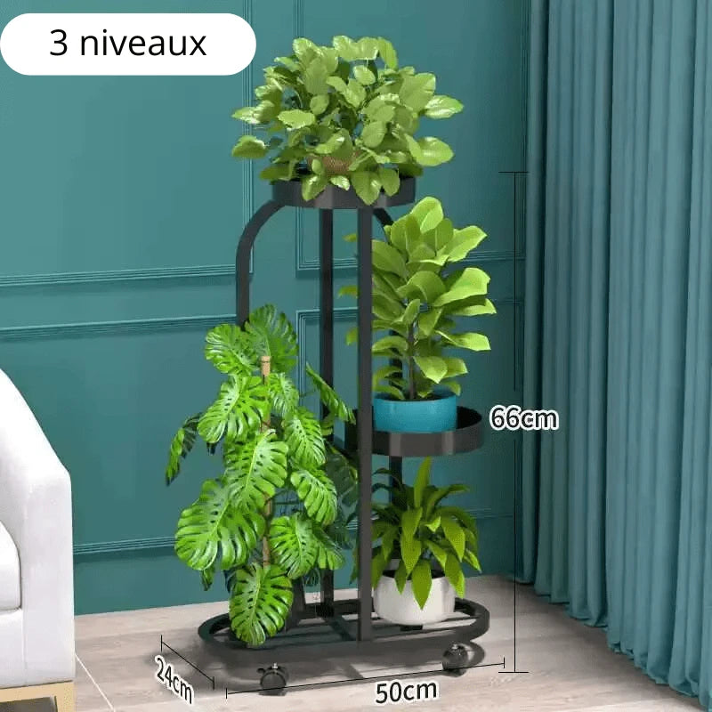 Porte Plant