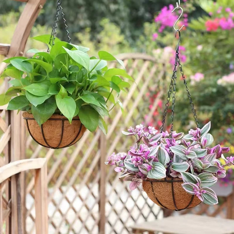 Chaîne pour Suspension Plante - Univers Plante