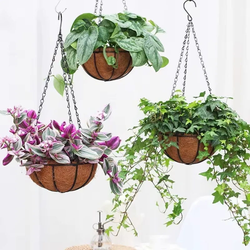 Chaîne pour Suspension Plante