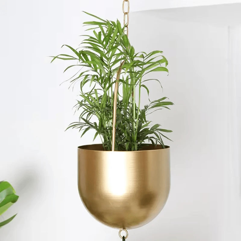 Idées Suspension Plantes