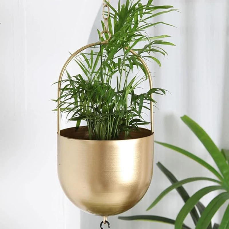 Idées Suspension Plantes - Univers Plante