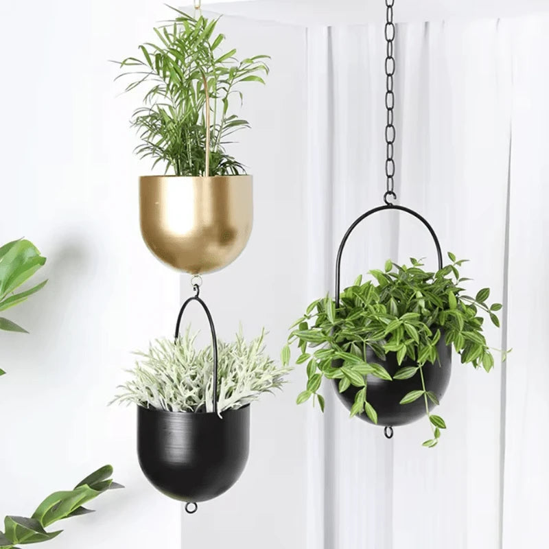 Idées Suspension Plantes