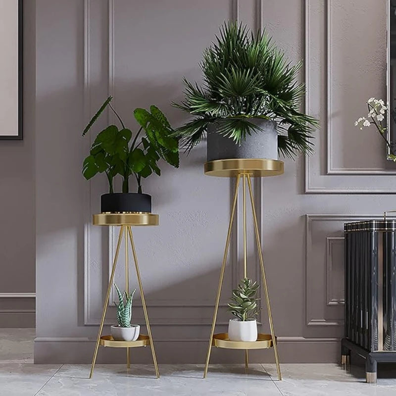 Pied Destal - Univers Plante