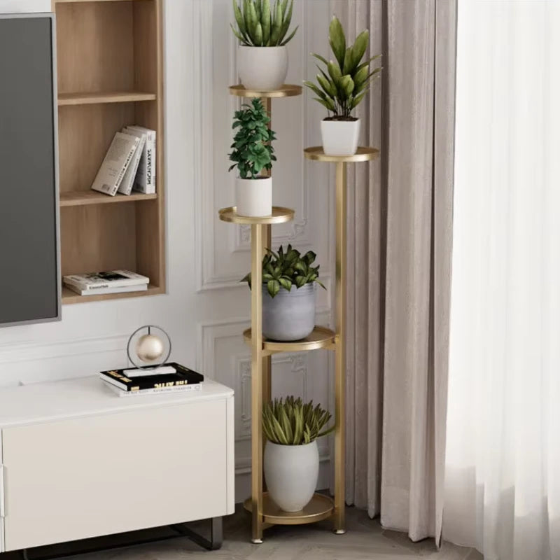 Pied d Estale pour Plante