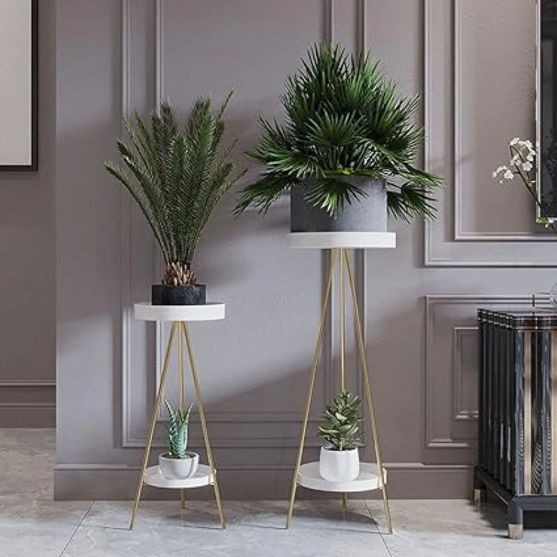 Pied d Estale - Univers Plante
