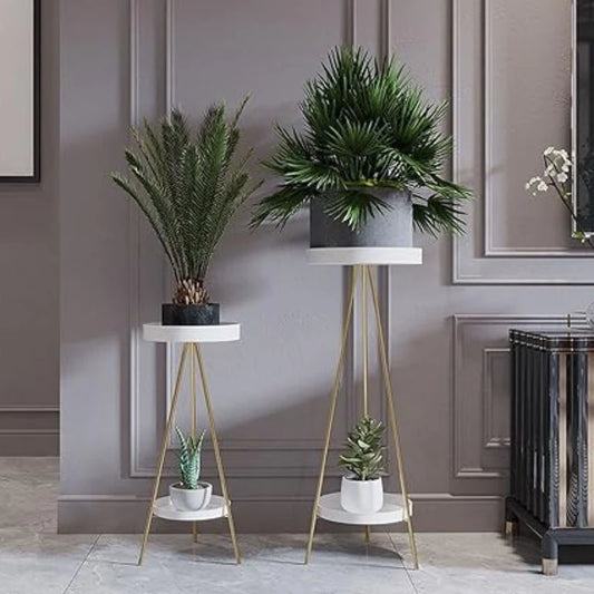 Pied d Estale - Univers Plante