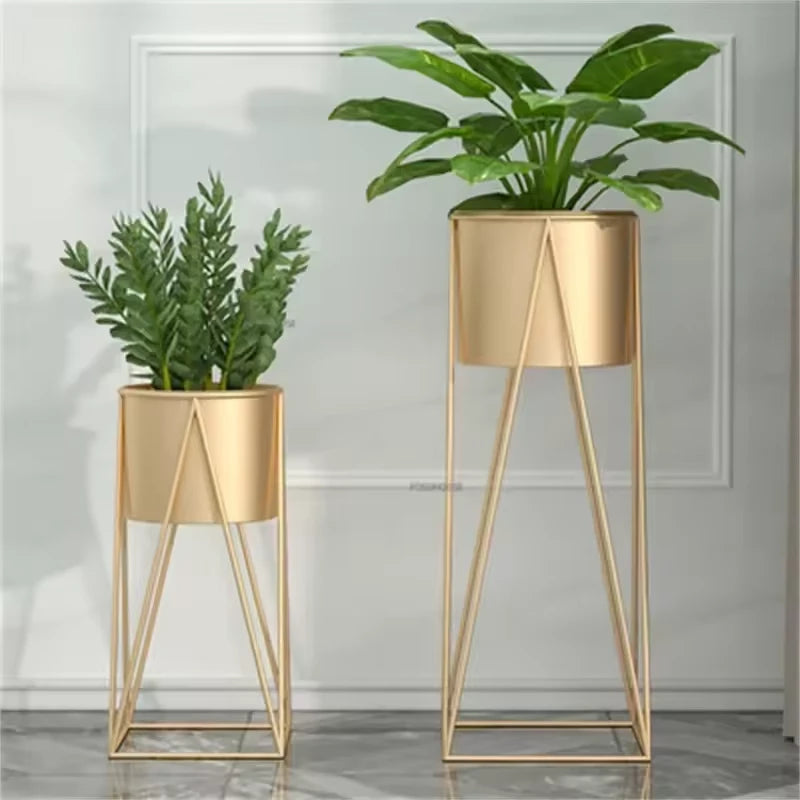 Pied d’Estalle - Univers Plante