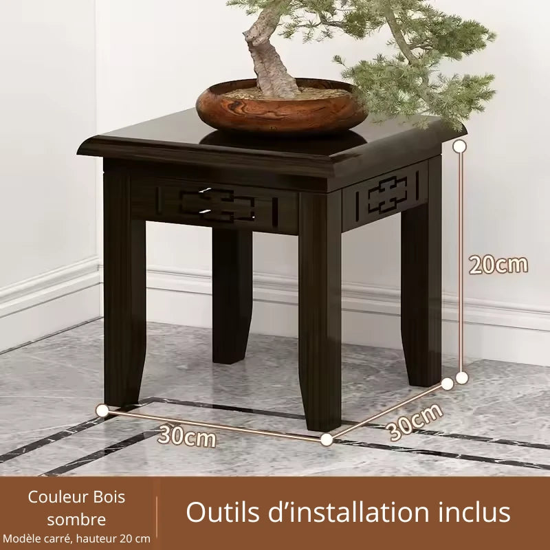 Pied pour Plante