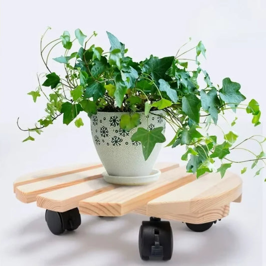 Plateau Rond à Roulette pour Plante - Univers Plante