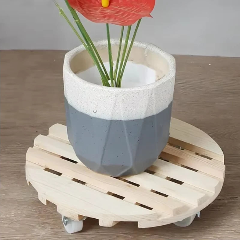 Plateau Rond à Roulette pour Plante
