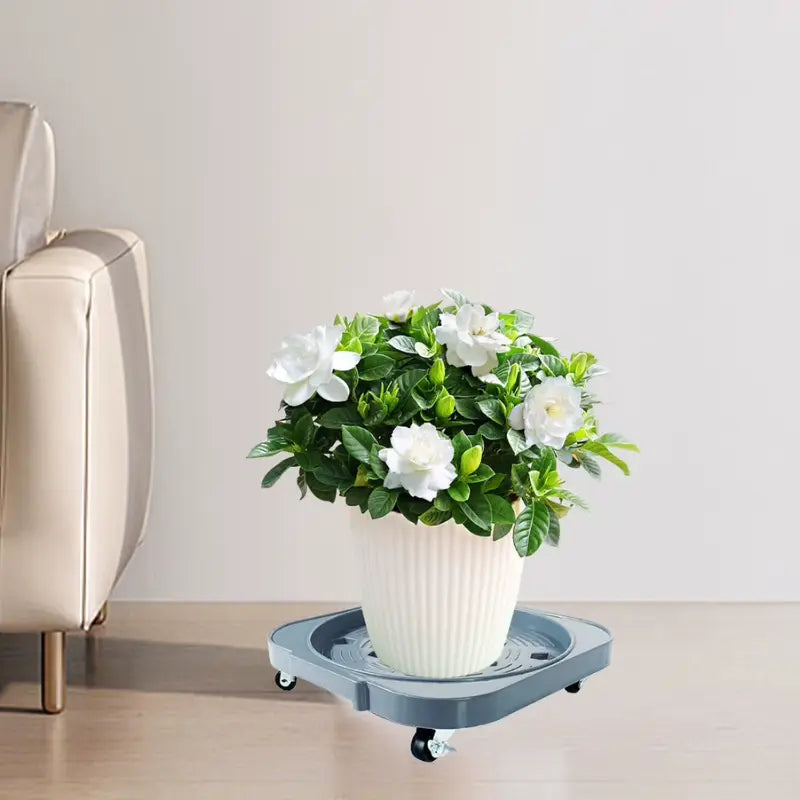 Plateau Roulant pour Plante - Univers Plante