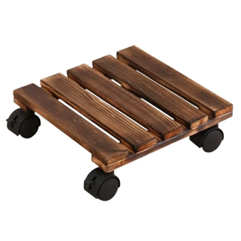 Plateau à Roulette pour Plante