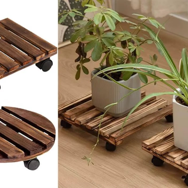 Plateau à Roulette pour Plante