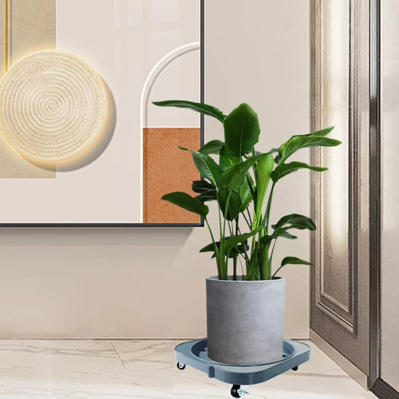 Plateau Roulant pour Plante
