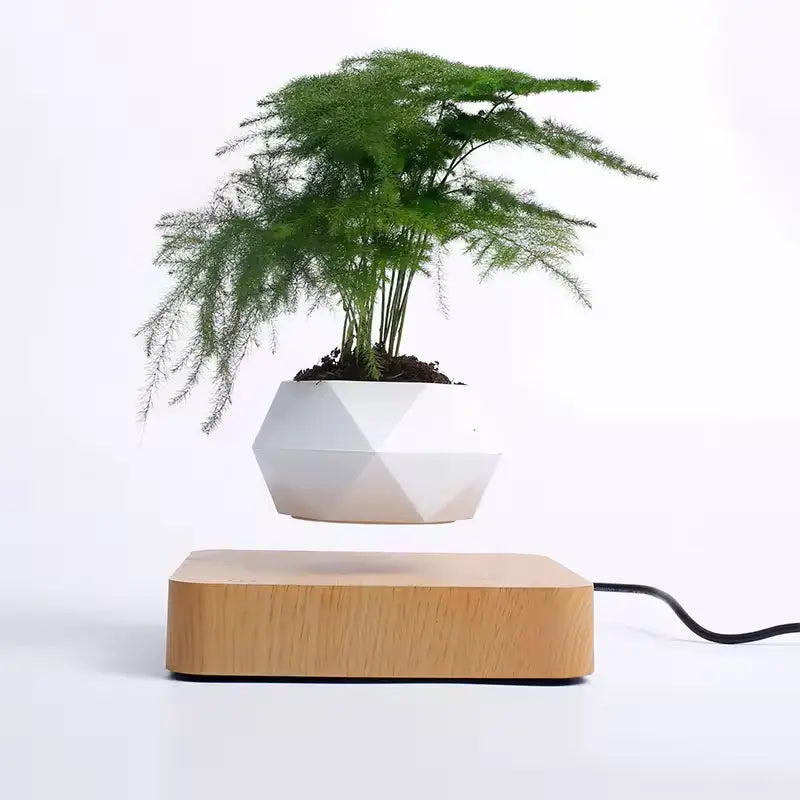 Porte Plante en Lévitation - Univers Plante