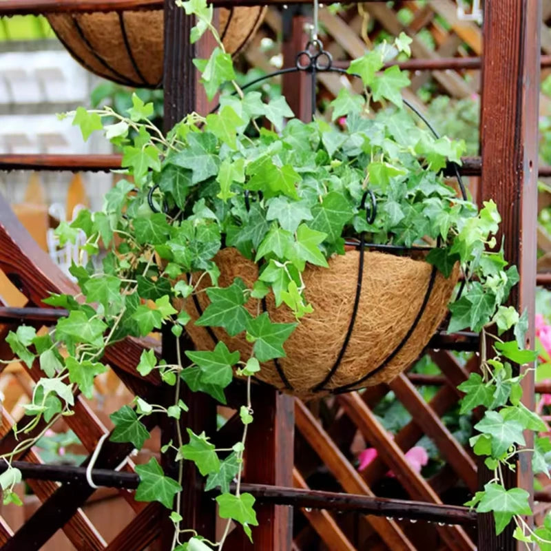 Porte Pot Mural Intérieur - Univers Plante