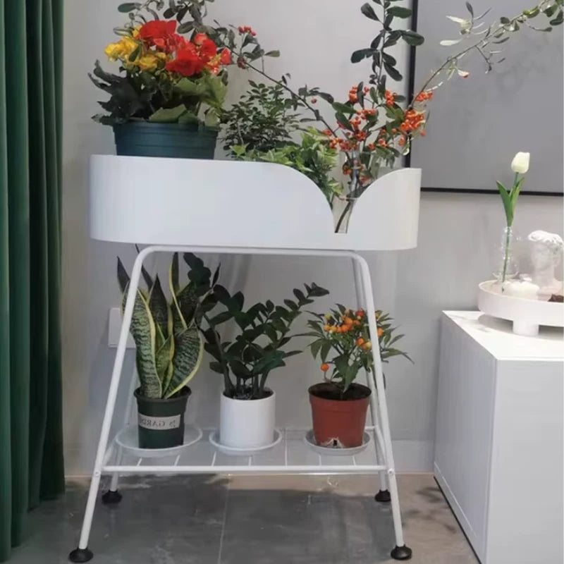 Repose Plante Haut