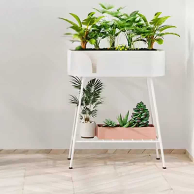Repose Plante Haut