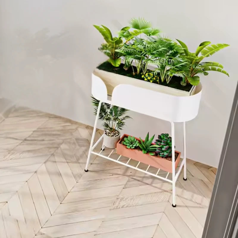 Repose Plante Haut