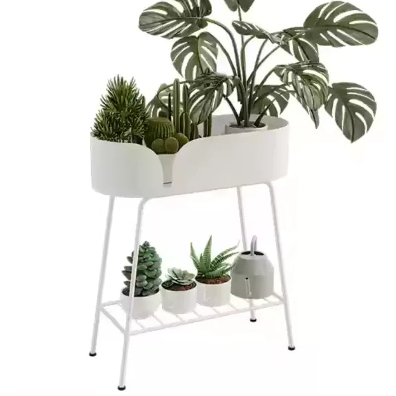 Repose Plante Haut