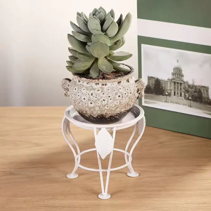 Repose Plante Interieur - Univers Plante