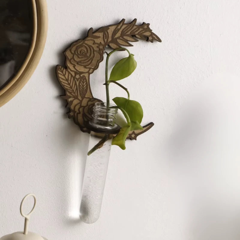 Repose Plantes Design - Univers Plante