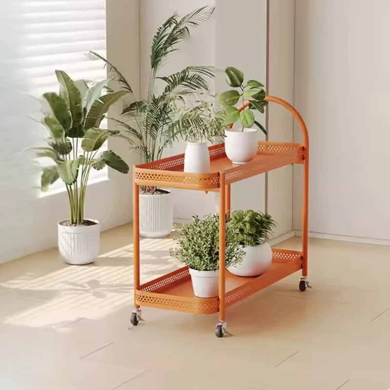Repose Plantes - Univers Plante