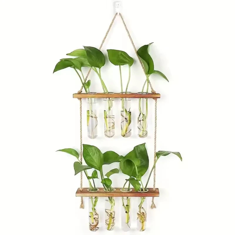 Support Bouture - Univers Plante