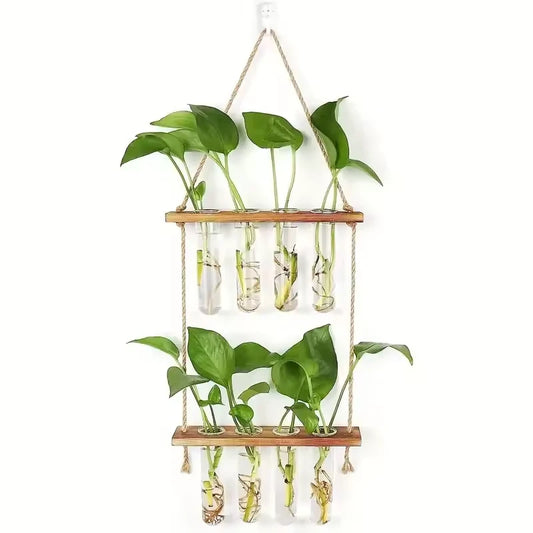 Support Bouture - Univers Plante