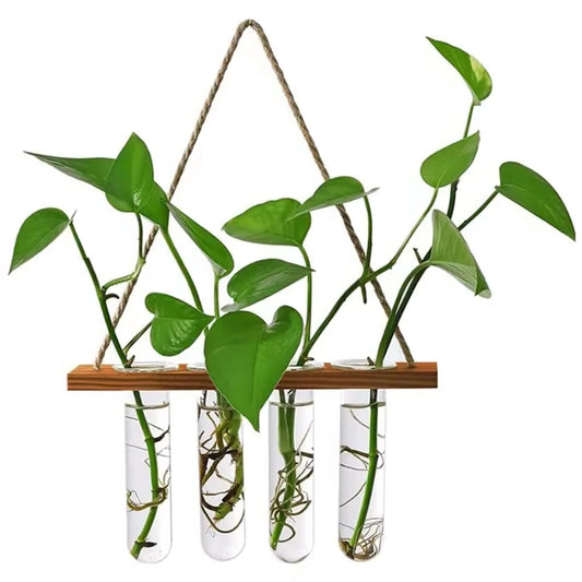 Support Fleur Bouture - Univers Plante