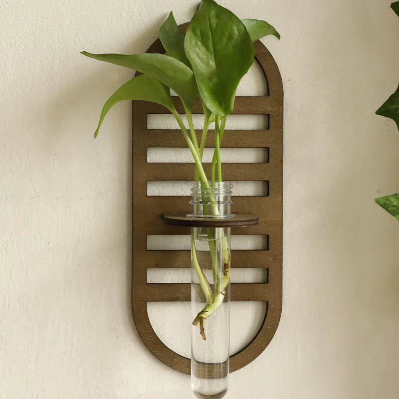 Support Mural Bouture - Univers Plante