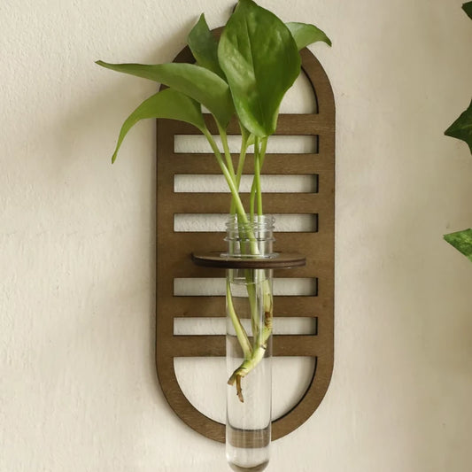 Support Mural Bouture - Univers Plante