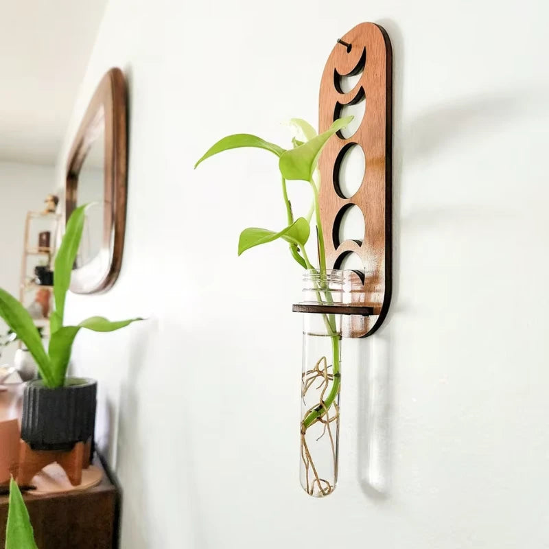 Support Mural Plante Suspendue