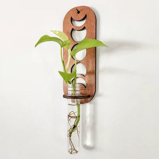 Support Mural Plante Suspendue - Univers Plante