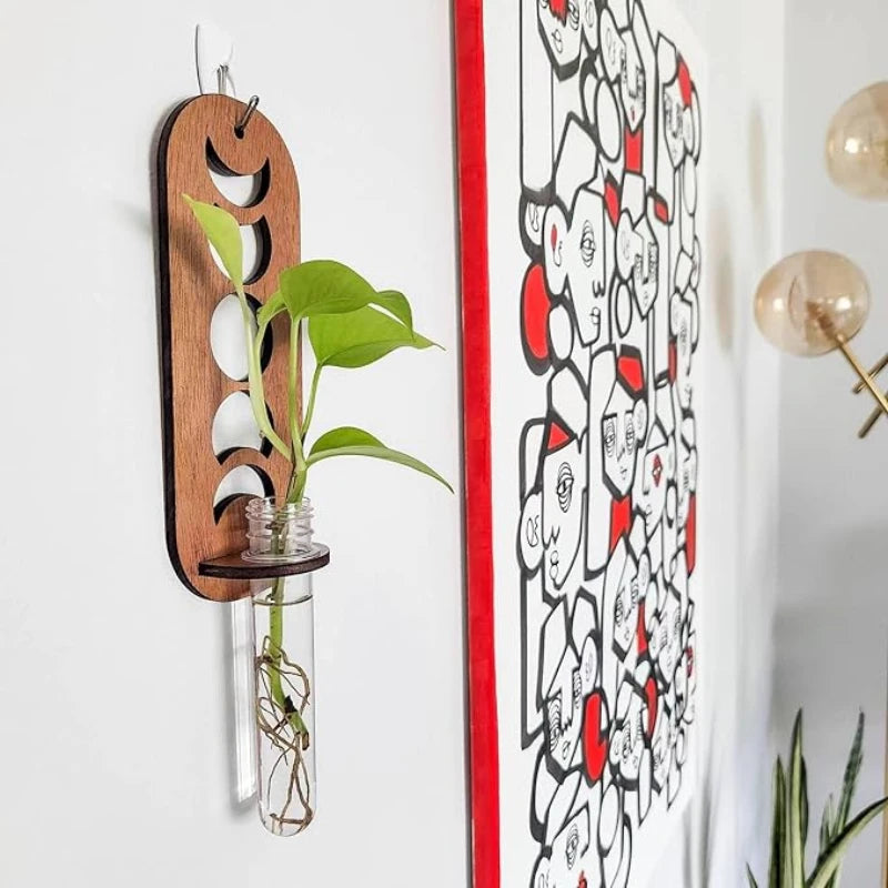 Support Mural Plante Suspendue