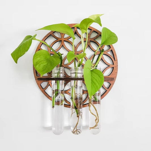 Support Mural pour Fleur ou Plante en Pot - Univers Plante