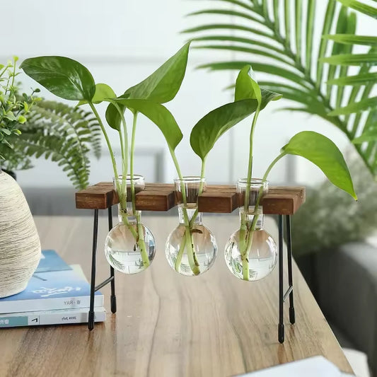 Support Plante Interieur Moderne - Univers Plante