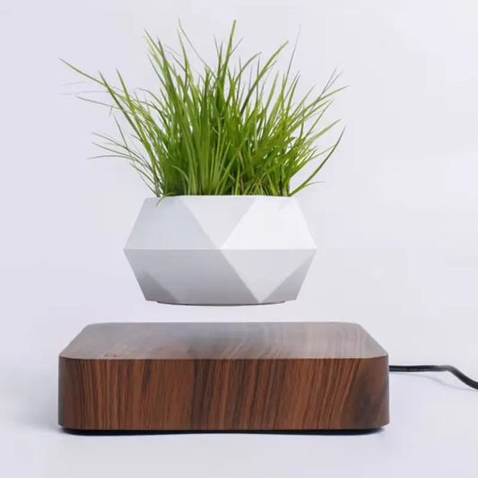 Support Plante en Lévitation - Univers Plante