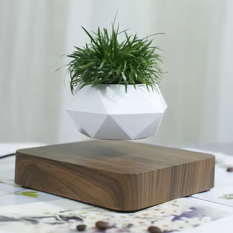 Support Plante en Lévitation