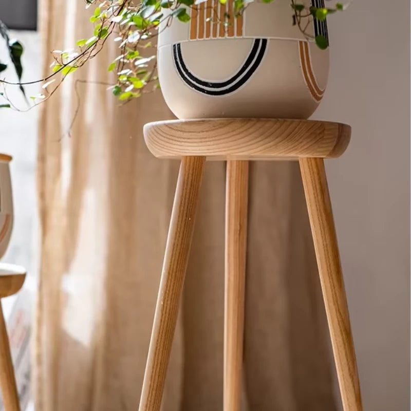 Support Plante sur Pied