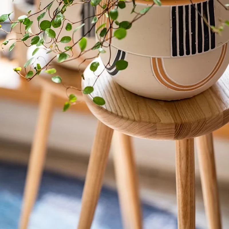 Support Plante sur Pied