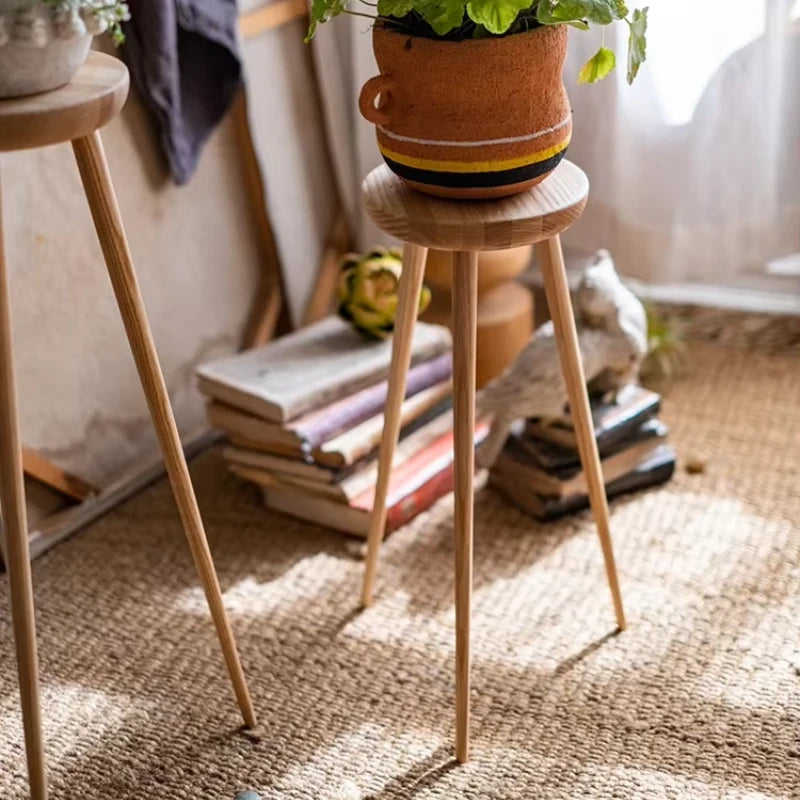 Support Plante sur Pied