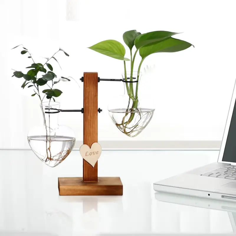 Support Plantes Vertes - Univers Plante