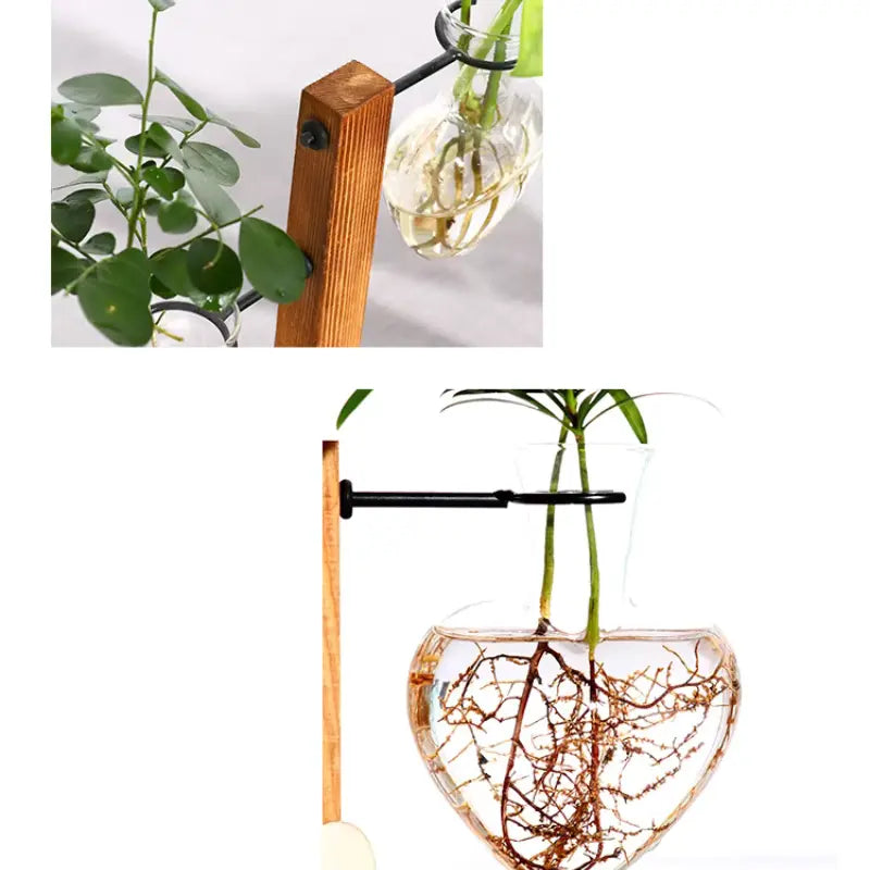 Support Plantes Vertes